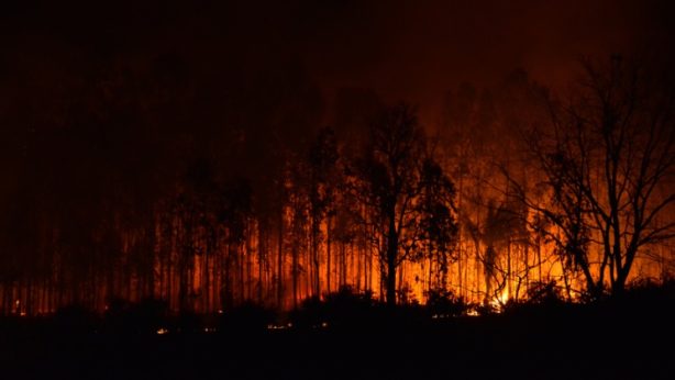 canada wildfire