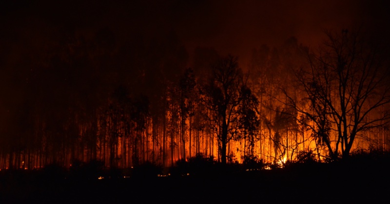 canada wildfire